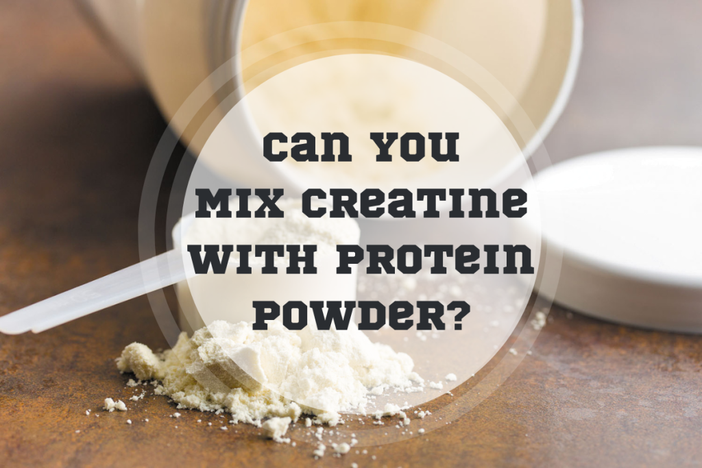 Can You Mix Creatine With Protein Powder