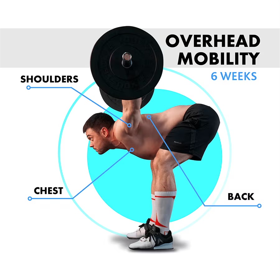 The Importance of Shoulder Mobility and Stability When Lifting Weights 