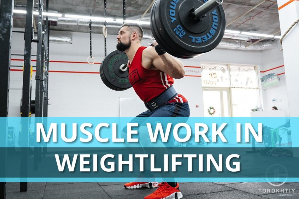 Muscle Work In Weightlifting