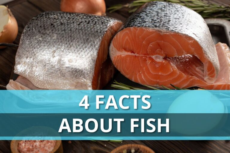 4 Facts About Fish